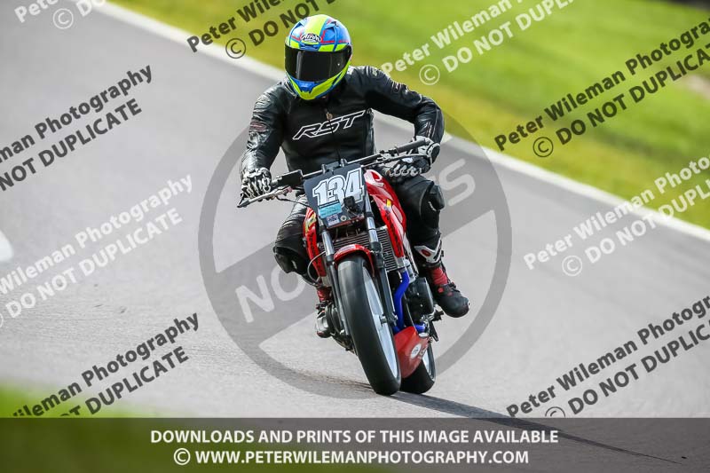 Oulton Park 21st March 2020;PJ Motorsport Photography 2020;anglesey;brands hatch;cadwell park;croft;donington park;enduro digital images;event digital images;eventdigitalimages;mallory;no limits;oulton park;peter wileman photography;racing digital images;silverstone;snetterton;trackday digital images;trackday photos;vmcc banbury run;welsh 2 day enduro